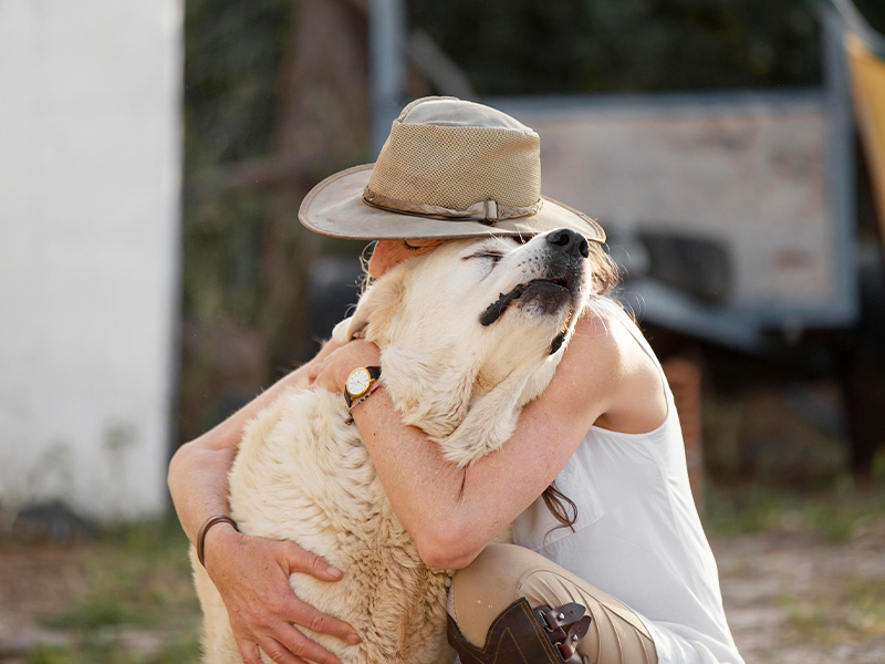 Abbraccio tra un Cane Anziano e il suo Padrone