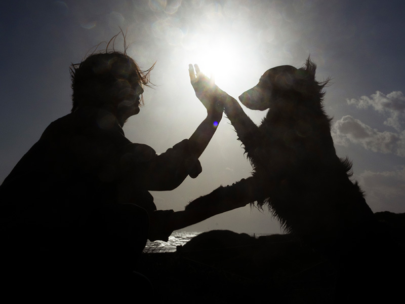 Mano nella Zampa del Cane all'Alba